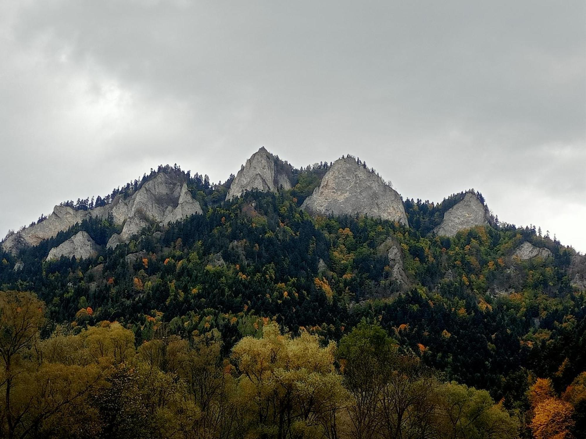 Hortensjowy Zakatek W Pieninach สโรโมฟเซ วิชเน ภายนอก รูปภาพ